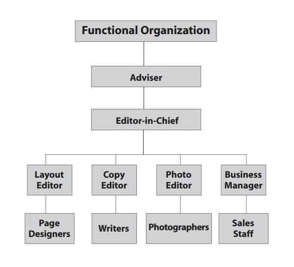 Functional-Organization