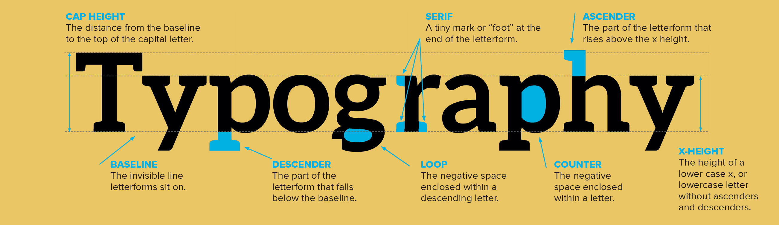 TypeTypes1