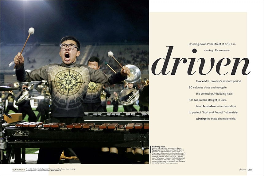 19_Design Year_Theme_Vista3