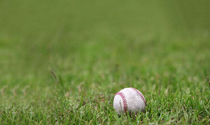 Baseball grass_4261797